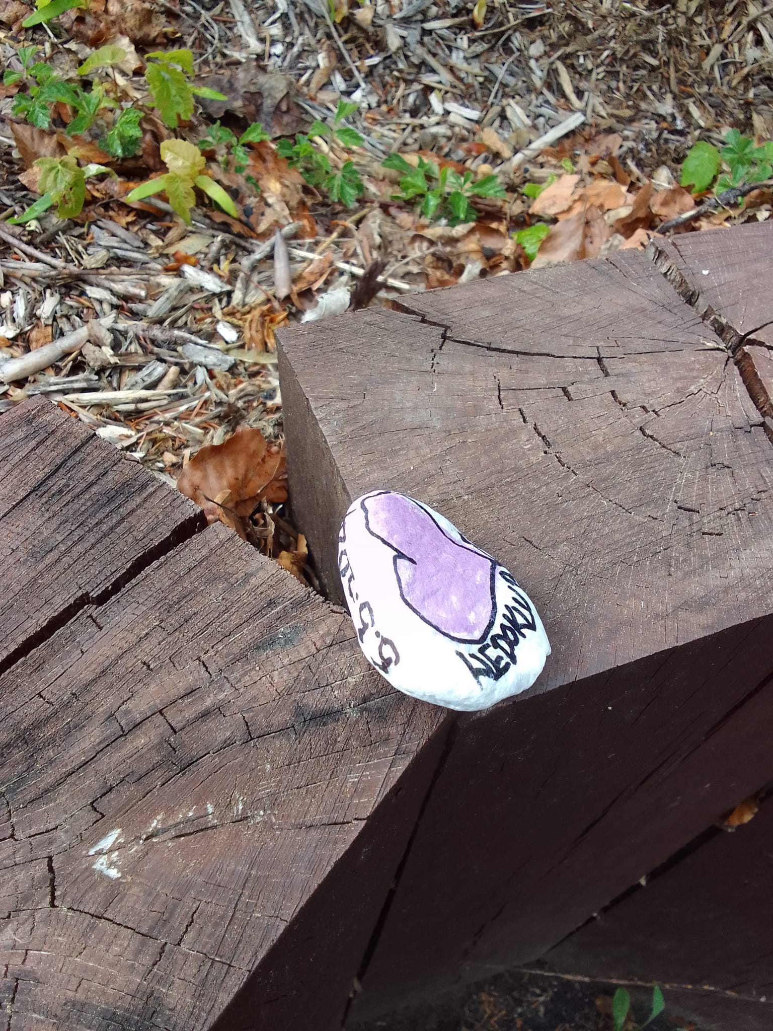 ŠD 2024-05-06 004.JPG