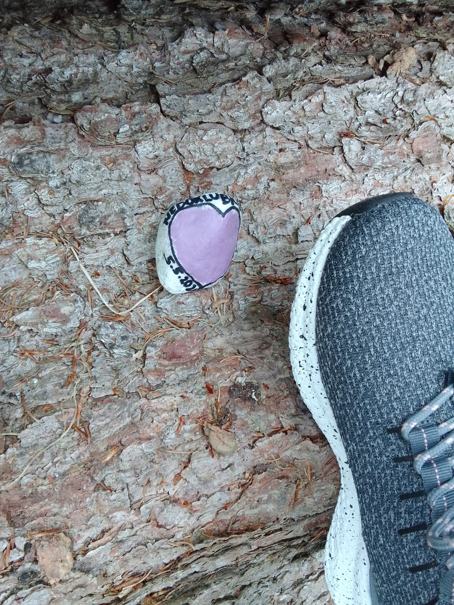 ŠD 2024-05-06 005.JPG