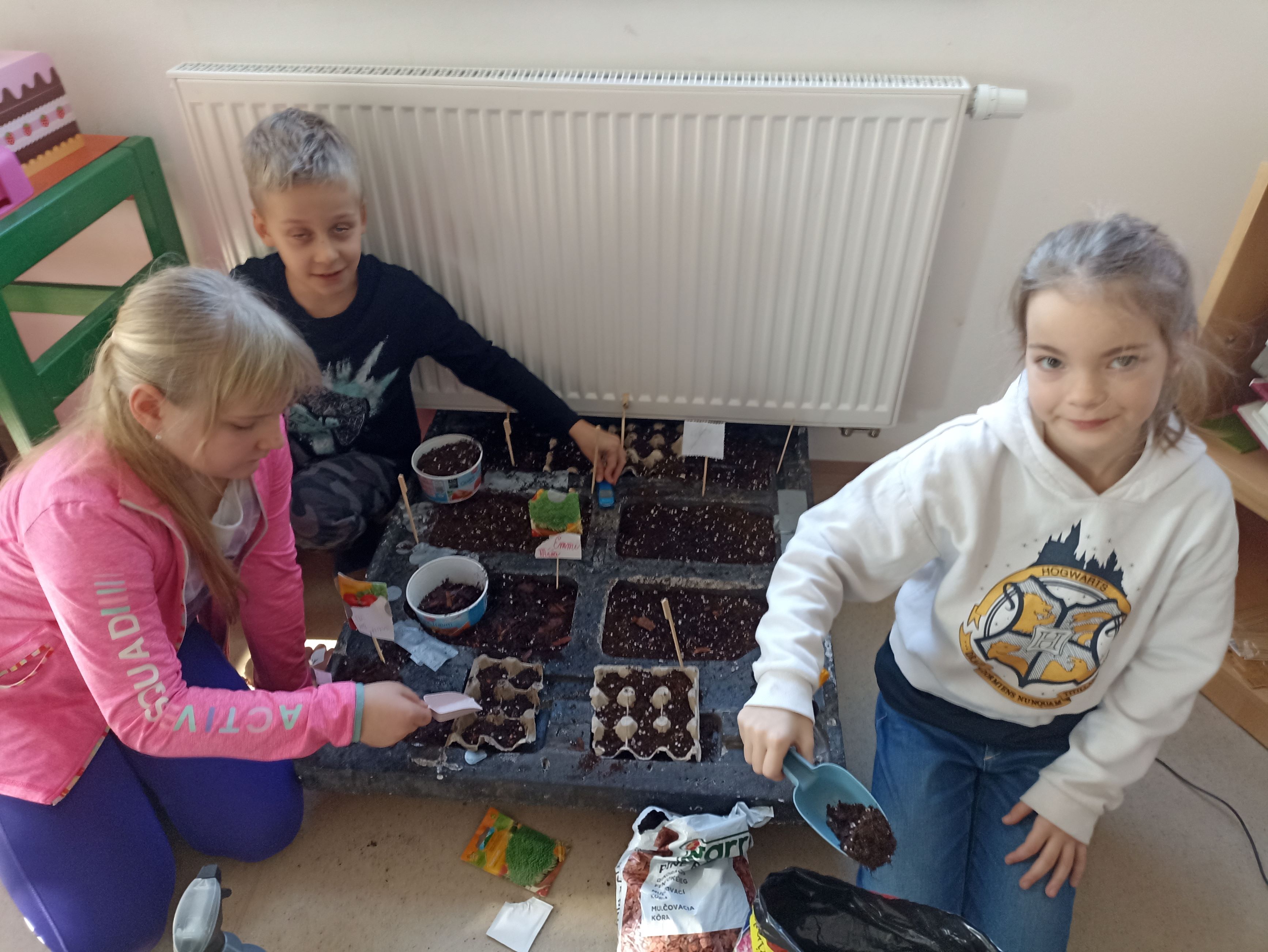 sejeme do naší zahrádky.jpg