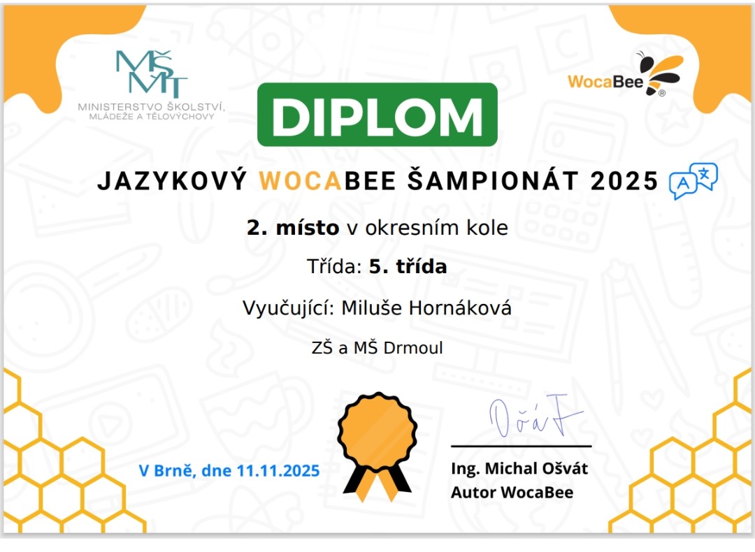 Jazykový Wocabee šampionát