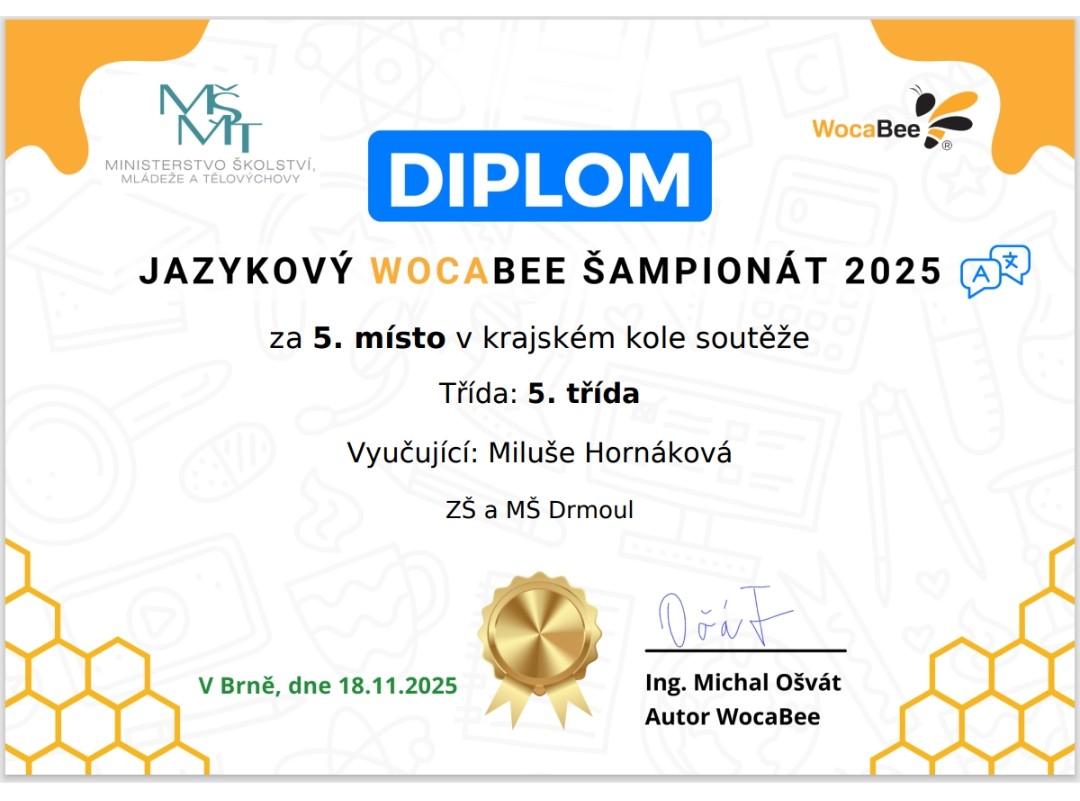 Jazykový Wocabee šampionát